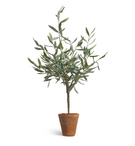 Олива Элегант (серия Prime) в керамическом кашпо