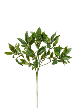 Ветка лавра 45 см