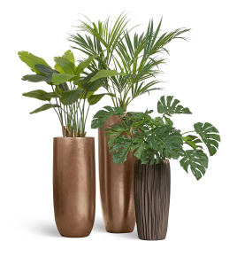 Сет № 13 - Композиция в бронзовых кашпо Treez Effectory Metal