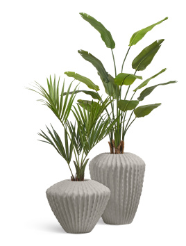 Сет № 31 - Композиция со Стрелицией и Пальмой Ховея в кашпо Treez Effectory Moho