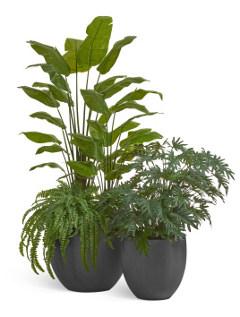 Сет № 36 - Композиция со Стрелициями, Филодендроном и Папоротником в кашпо Treez Effectory Beton