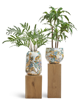 Сет № 48 - Папоротник Рэббит Фут и Драцена Джанет Крейг в кашпо Treez Effectory Savage Garden