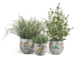 Сет № 50 - Композиция с Эвкалиптом и Лемонграссом в кашпо Treez Effectory Savage Garden