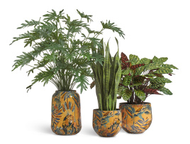 Сет № 55 - Композиция с Сансевиерией и Калатеей в кашпо Treez Effectory Savage Garden
