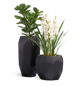 Сет № 99 - Композиция с орхидеями в кашпо Treez Effectory Anthra