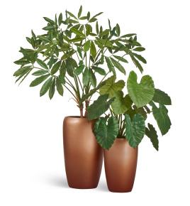 Сет № 100 - Композиция с филодендроном в матовых кашпо Treez Effectory Metal