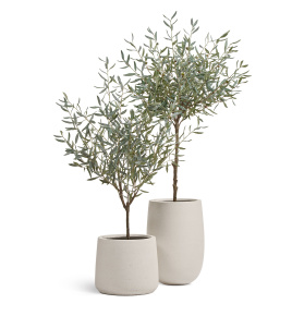 Сет № 130 - Композиция с оливами Prime в кашпо Treez Effectory Fine Rock