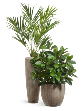 Сет № 147 - Композиция с Кентией и Фикусом Эластика в кашпо Treez Effectory Wow