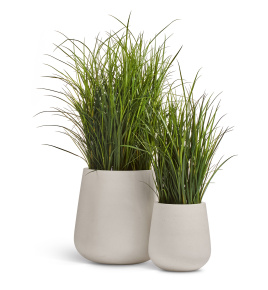 Сет № 153 - Композиция с тростником в кашпо Treez Ergo Fine Rock