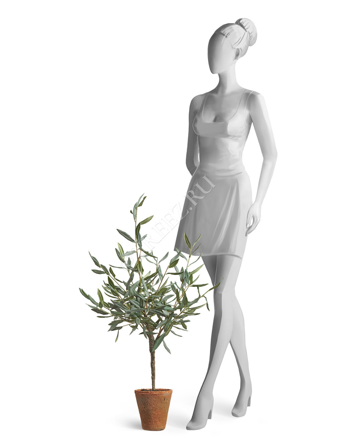 Олива Элегант (серия Prime) в керамическом кашпо фото