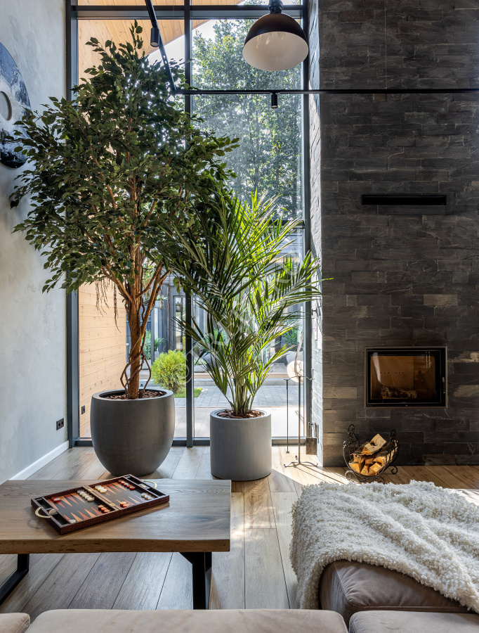 Фикус Бенджамина Гигантский фото