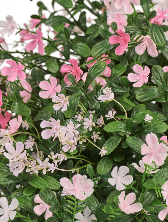 Альпийское разнотравье с нежно-розовыми и белыми цветами (3 размера) фото