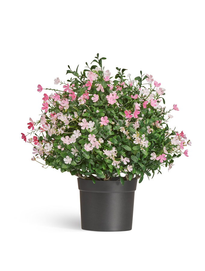 Альпийское разнотравье с нежно-розовыми и белыми цветами (3 размера) фото