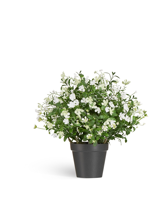 Альпийское разнотравье с белыми цветами (3 размера) фото