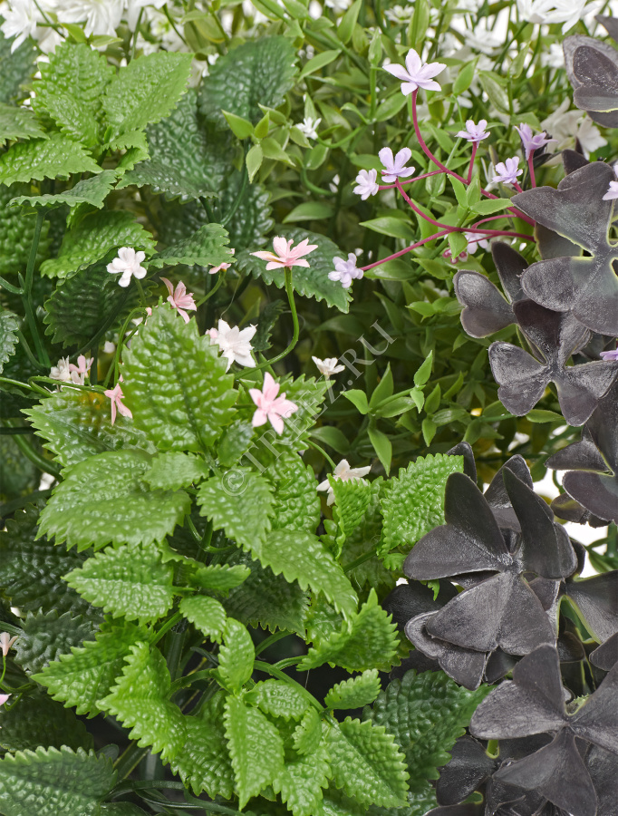 Цветущее разнотравье куст фото