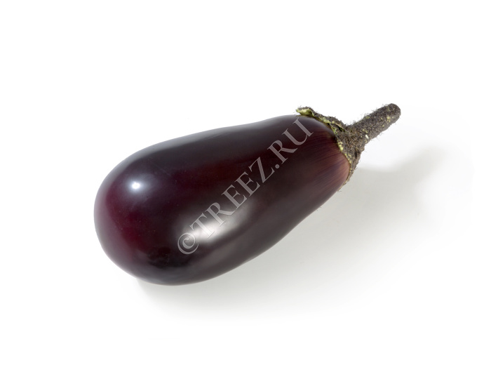 Баклажан фото