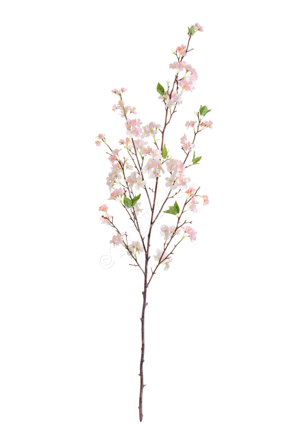 Ветка Сакуры нежно-розовая Дворец императора большая фото