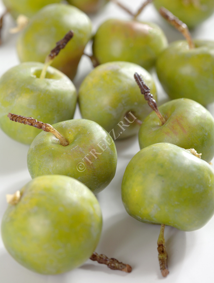 Яблочки-мини зеленые в коробке фото