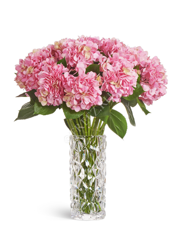 Гортензия "Grande Fiore" ярко-розовая фото