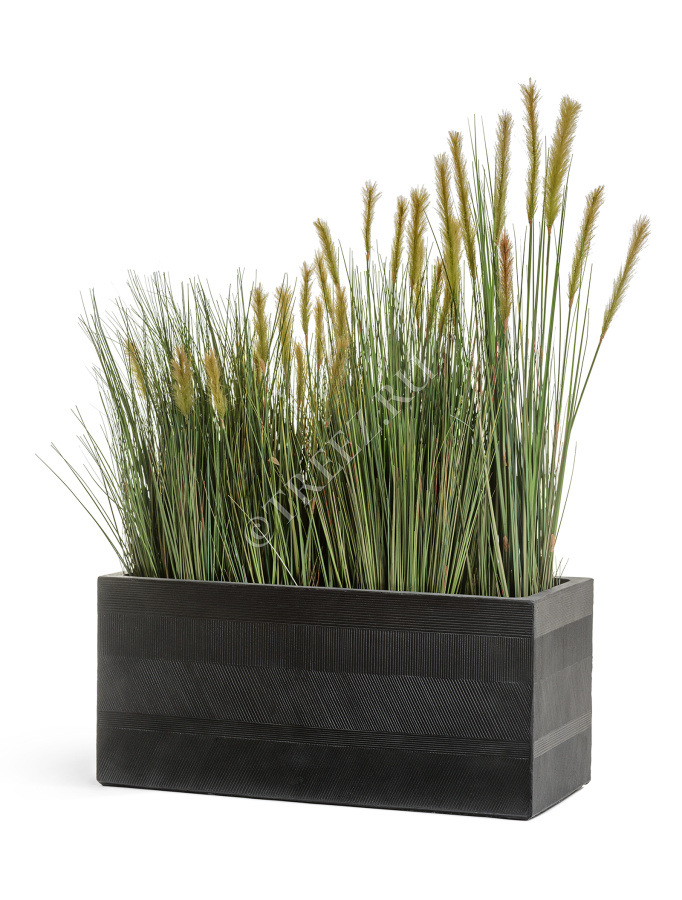 Кашпо TREEZ ERGO - Graphics - Низкий прямоугольник - Чёрный графит фото