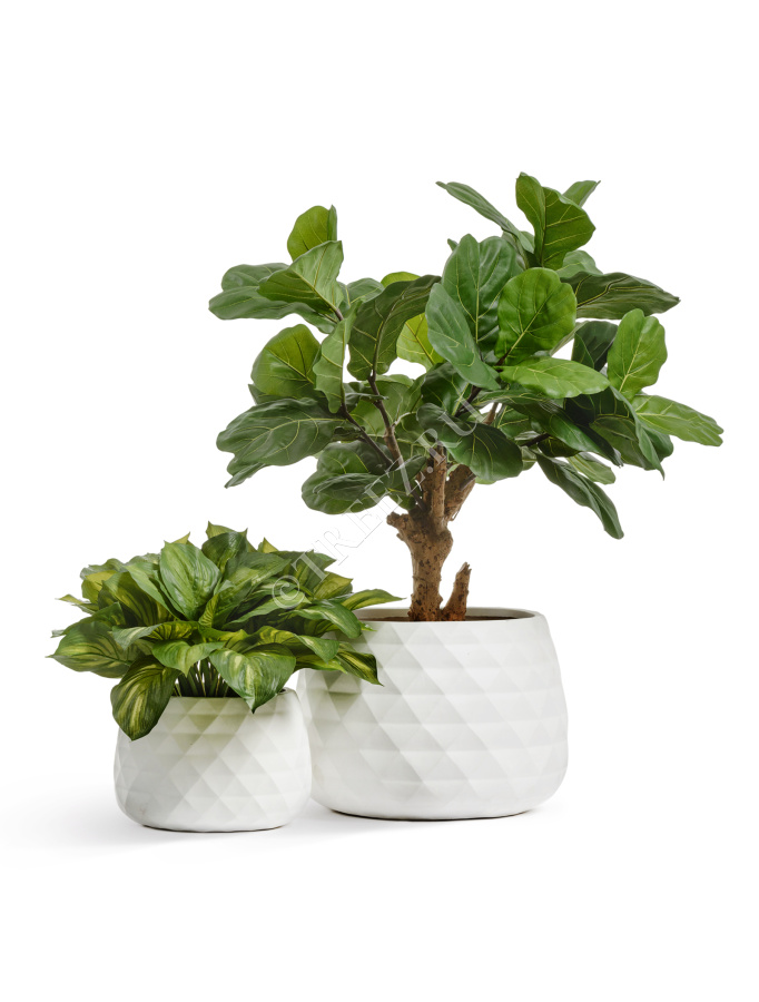 Кашпо TREEZ ERGO - Diamond - Низкая чаша - Белый камень фото