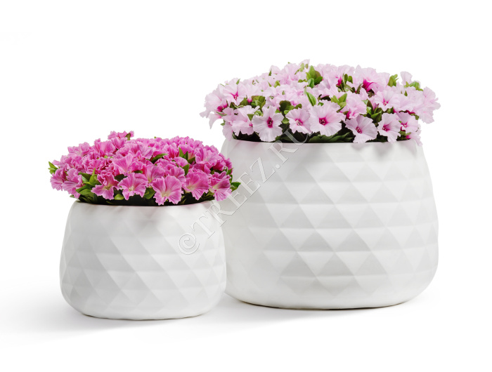 Кашпо TREEZ ERGO - Diamond - Низкая чаша - Белый камень фото