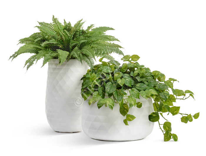 Кашпо TREEZ ERGO - Diamond - Низкая чаша - Белый камень фото