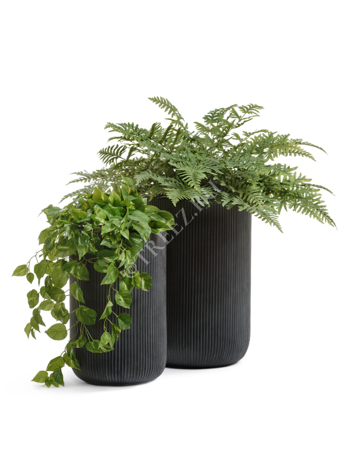 Кашпо TREEZ ERGO - Jet - Высокий цилиндр - Антрацит фото