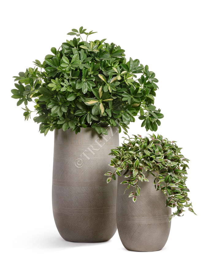 Кашпо TREEZ ERGO - Graphics - Высокая округлая чаша - Капучино фото