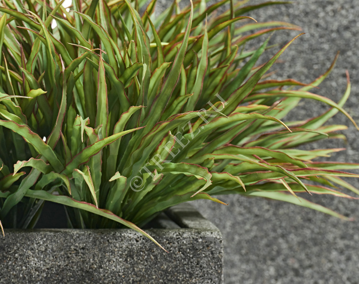 Кашпо TREEZ Effectory - Stone - Высокий куб - Тёмно-серый камень фото