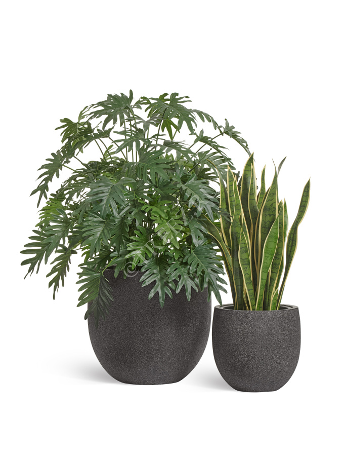 Кашпо TREEZ Effectory - Stone - Чаша classic - Тёмно-серый камень фото