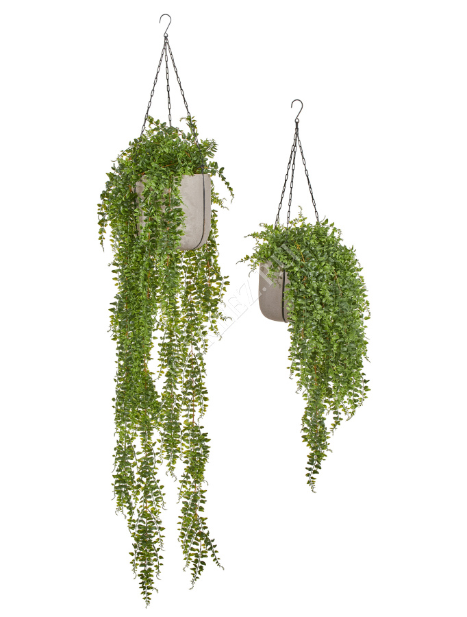 Кашпо TREEZ Effectory - Beton - Чаша подвесная - Белый песок фото