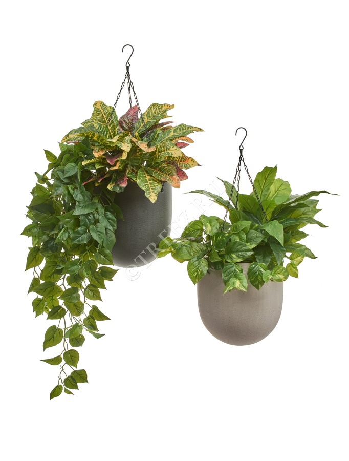 Кашпо TREEZ Effectory - Beton - Чаша большая подвесная - Тёмно-серый бетон фото