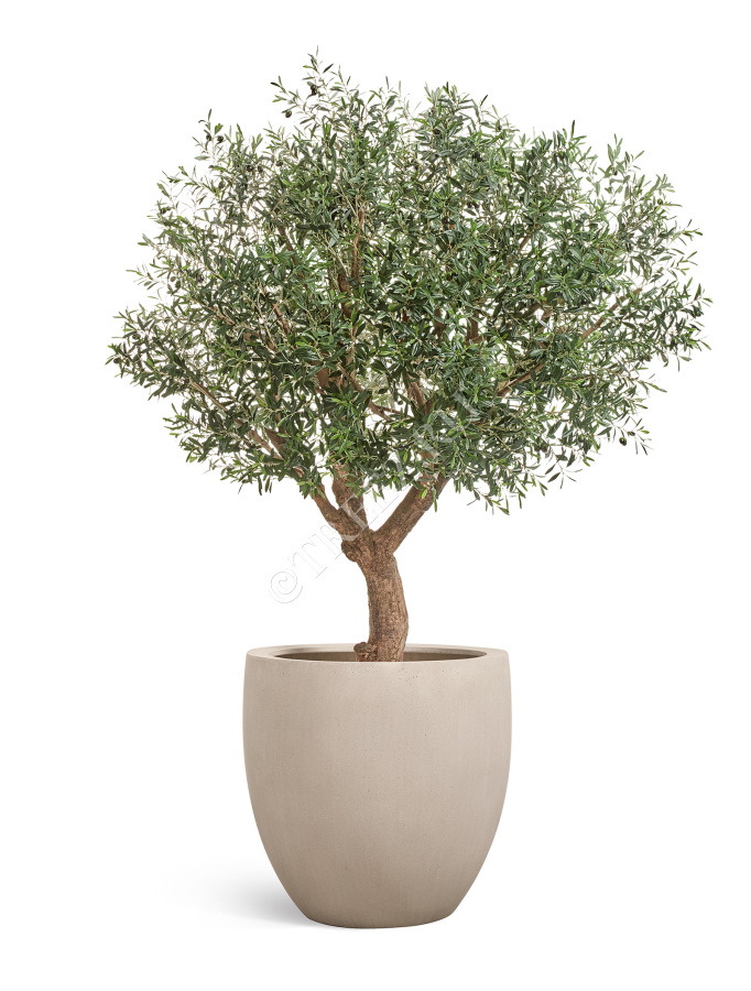 Кашпо TREEZ Effectory - Beton - Большой округлый конус - Белый песок фото