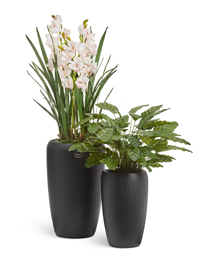 Кашпо TREEZ Effectory - Black Stone - Высокий округлый конус - Антрацит фото