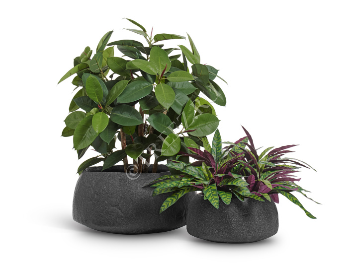 Кашпо TREEZ Effectory - Organic - Низкая чаша - Тёмно-серый камень фото