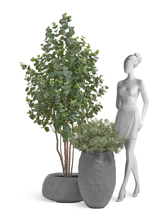 Кашпо TREEZ Effectory - Organic - Низкая чаша - Серый ледник фото