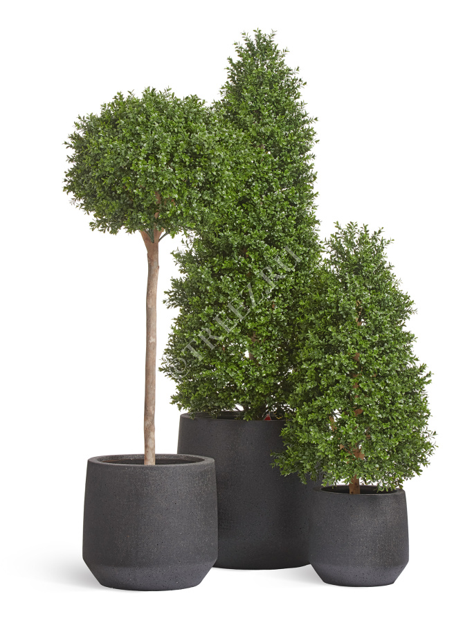 Кашпо TREEZ ERGO - Hard Rock - Трапециевидная чаша - Чёрный песок фото