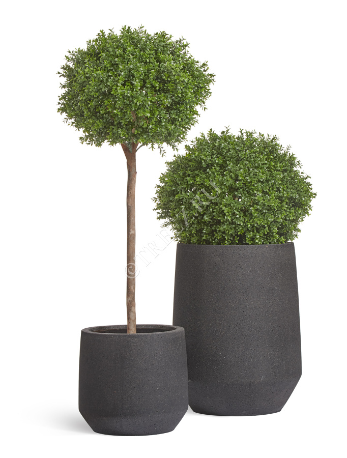 Кашпо TREEZ ERGO - Hard Rock - Трапециевидная чаша - Чёрный песок фото