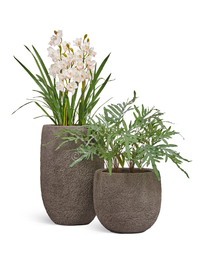 Кашпо TREEZ Effectory - Terra - Чаша classic - Серый беж фото