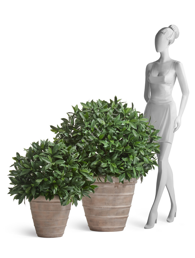 Кашпо TREEZ ERGO - Italica - Классический конус - Капучино фото