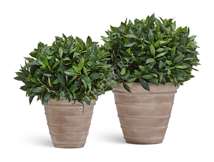 Кашпо TREEZ ERGO - Italica - Классический конус - Капучино фото