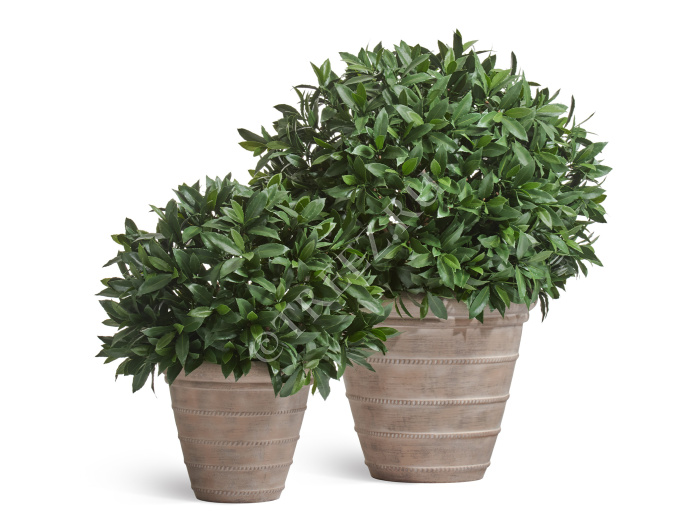 Кашпо TREEZ ERGO - Italica - Классический конус - Капучино фото