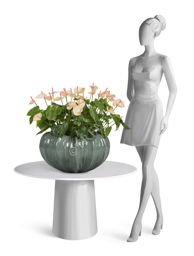 Кашпо TREEZ Effectory - Aura - Низкая Design-чаша - Изумрудный лак фото