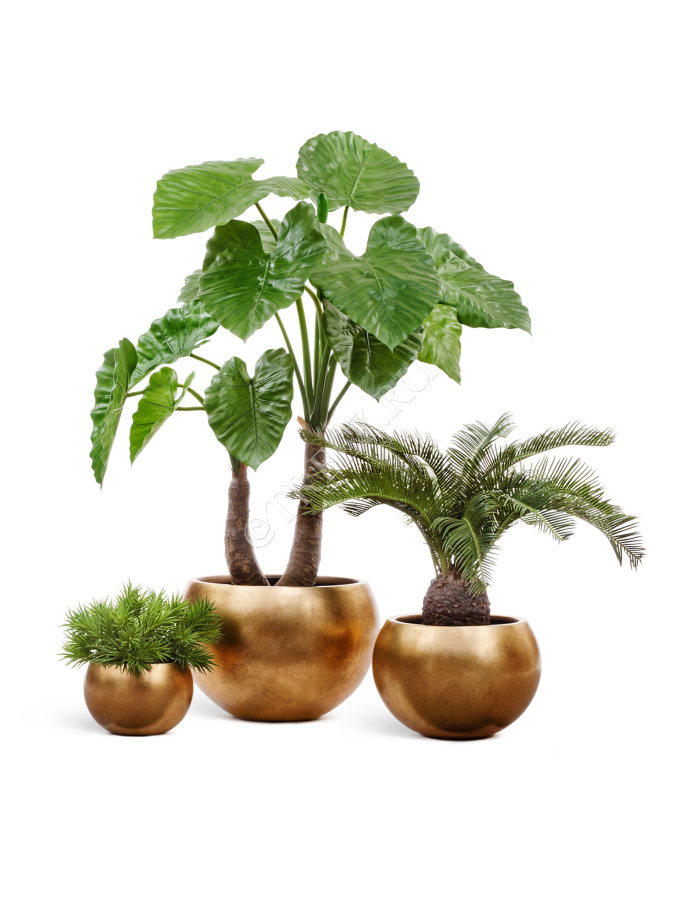 Кашпо TREEZ Effectory - Metal - Полусфера - Сусальное золото фото