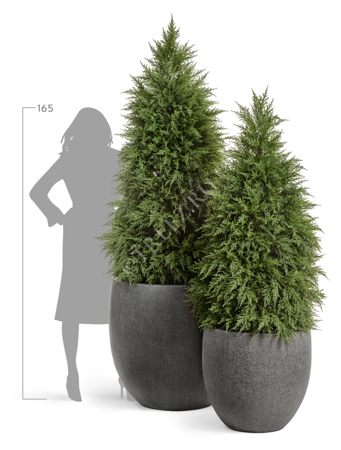 Кашпо TREEZ Effectory - Stone - Большой округлый конус - Тёмно-серый камень фото