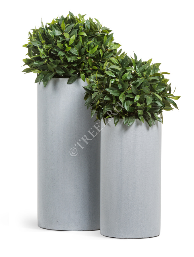 Кашпо TREEZ Effectory - Beton - Высокий цилиндр - Серый ледник фото