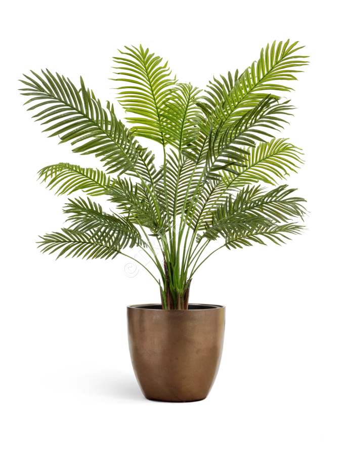 Кашпо TREEZ Effectory - Metal - Округлый конус - Тёмное-матовое золото фото