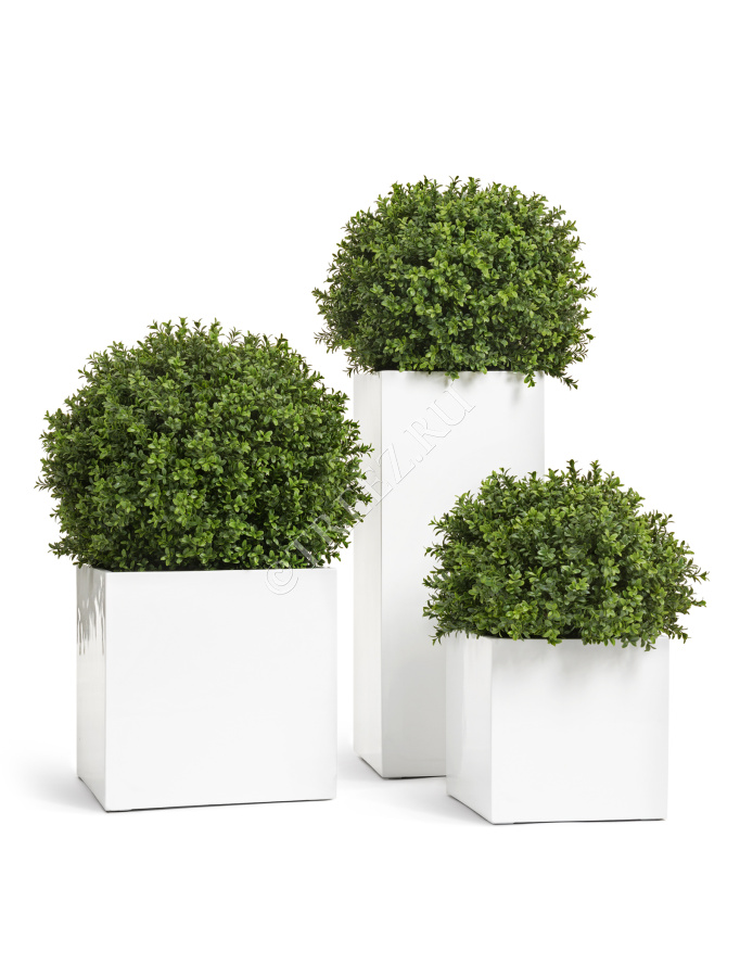 Кашпо TREEZ Effectory - Gloss - Куб - Белый глянцевый лак фото