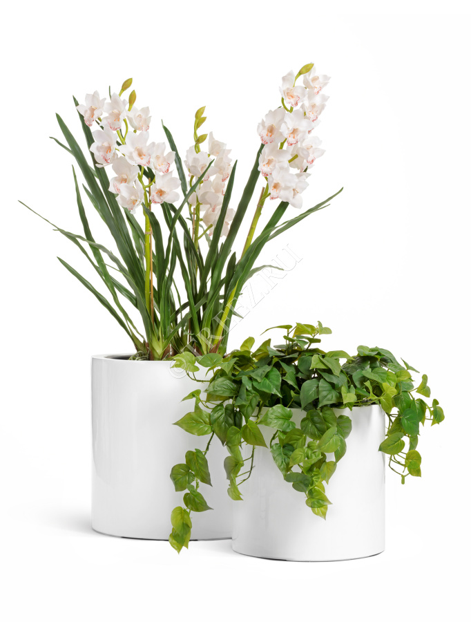 Кашпо TREEZ Effectory - Gloss - Цилиндр - Белый глянцевый лак фото